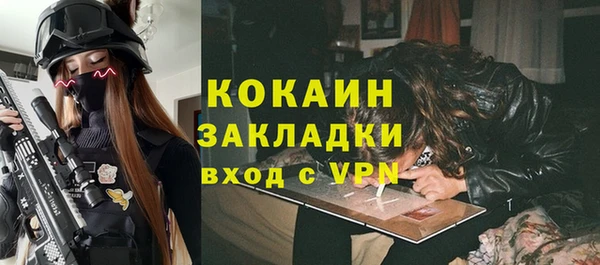 шишки Сосновый Бор