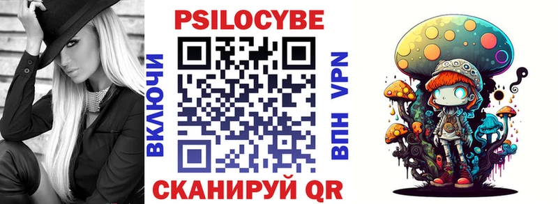 закладка  Каменногорск  Галлюциногенные грибы GOLDEN TEACHER 